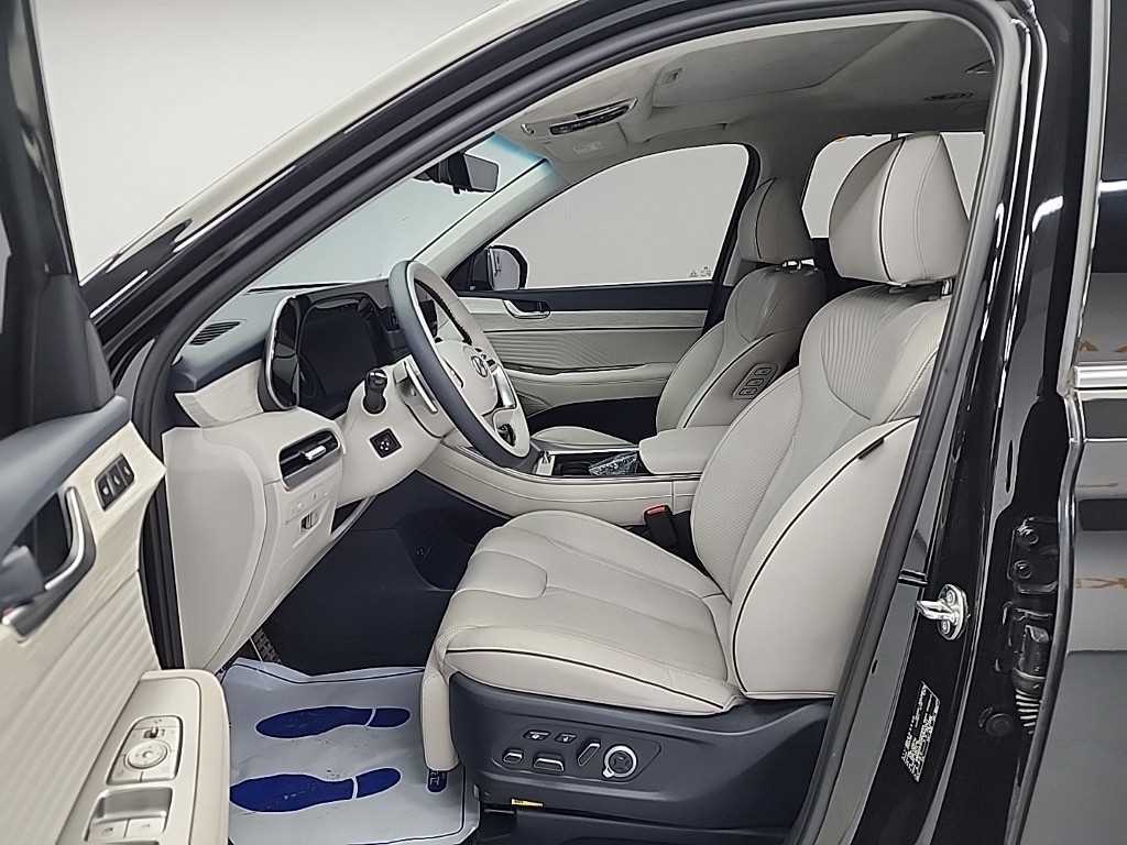 Hyundai Palisade — photo 11