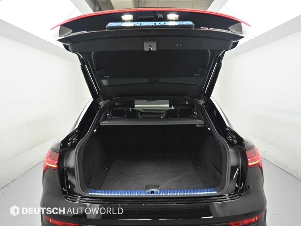 Audi e-tron — photo 19