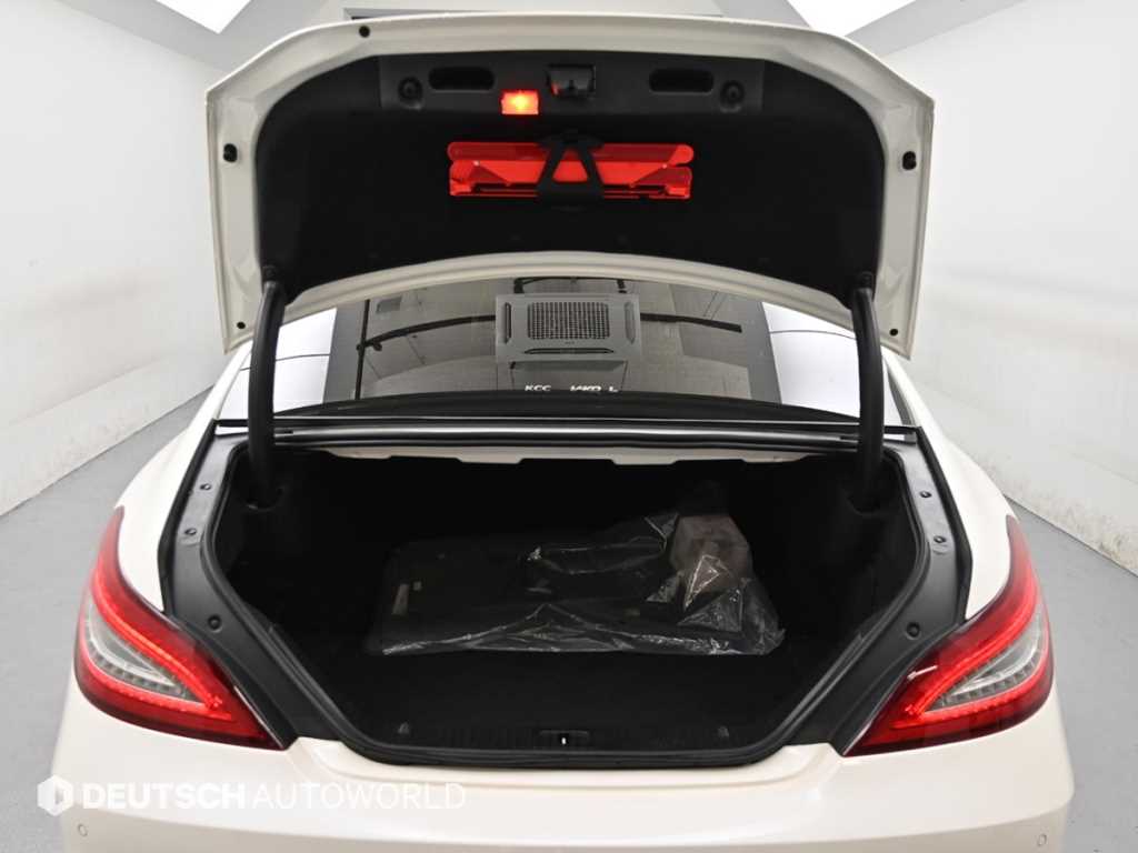 Mercedes-Benz CLS-Class — photo 19
