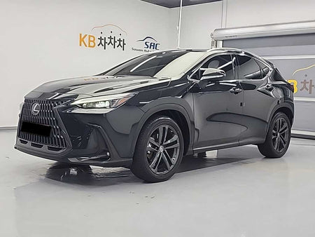 Lexus NX — photo 01