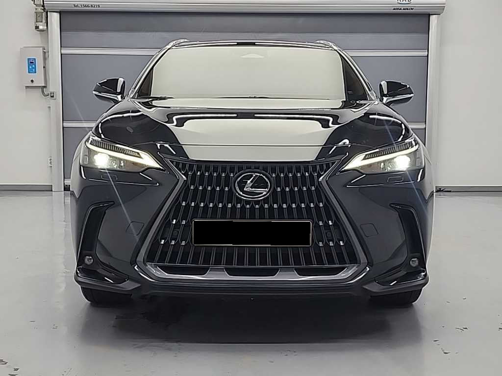 Lexus NX — photo 02