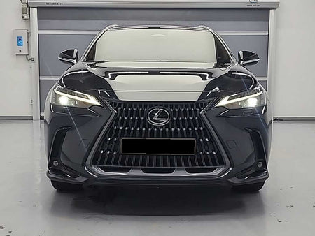 Lexus NX — photo 02