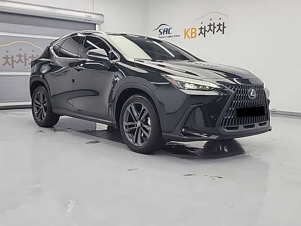 Lexus NX — photo 04