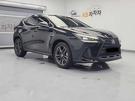 Lexus NX — photo 04