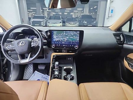 Lexus NX — photo 07