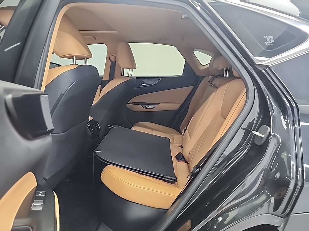 Lexus NX — photo 12