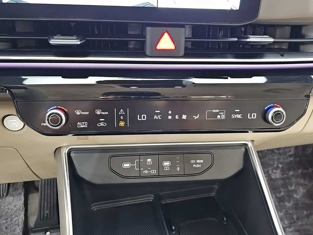 Kia Carnival — photo 10