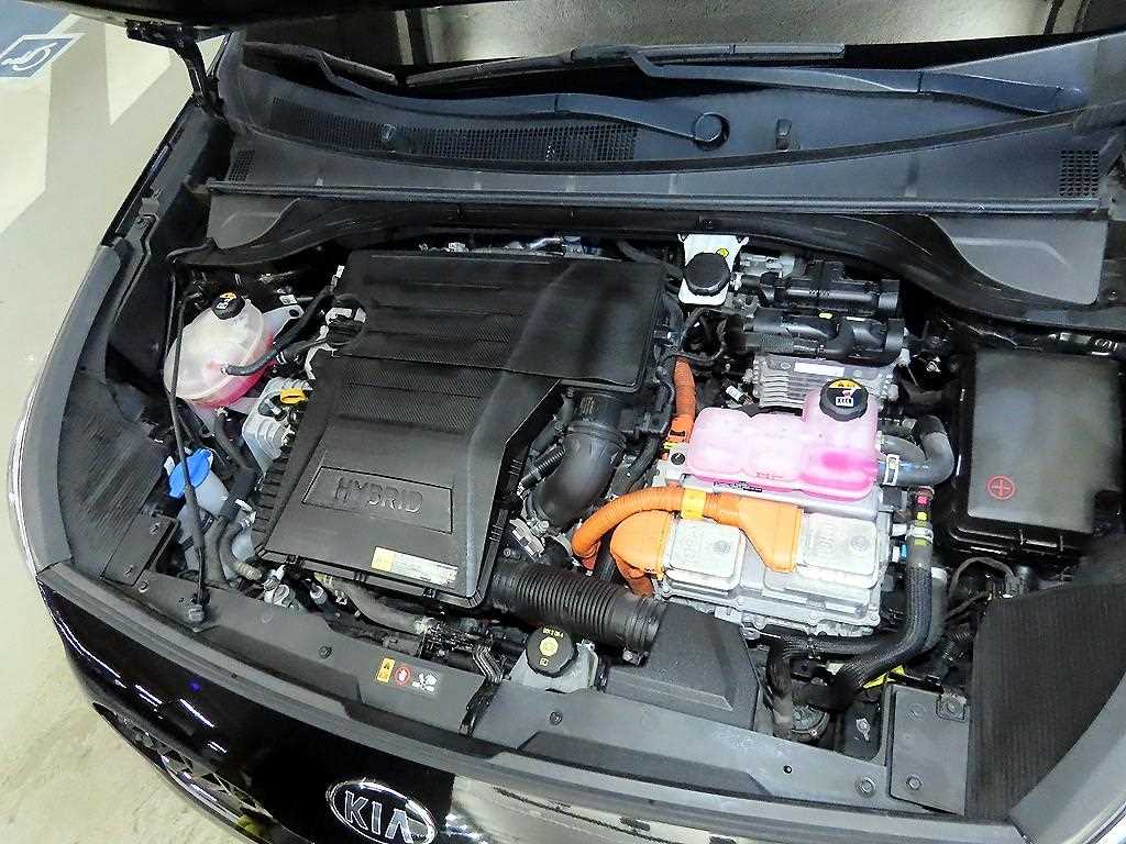 Kia Niro — photo 19