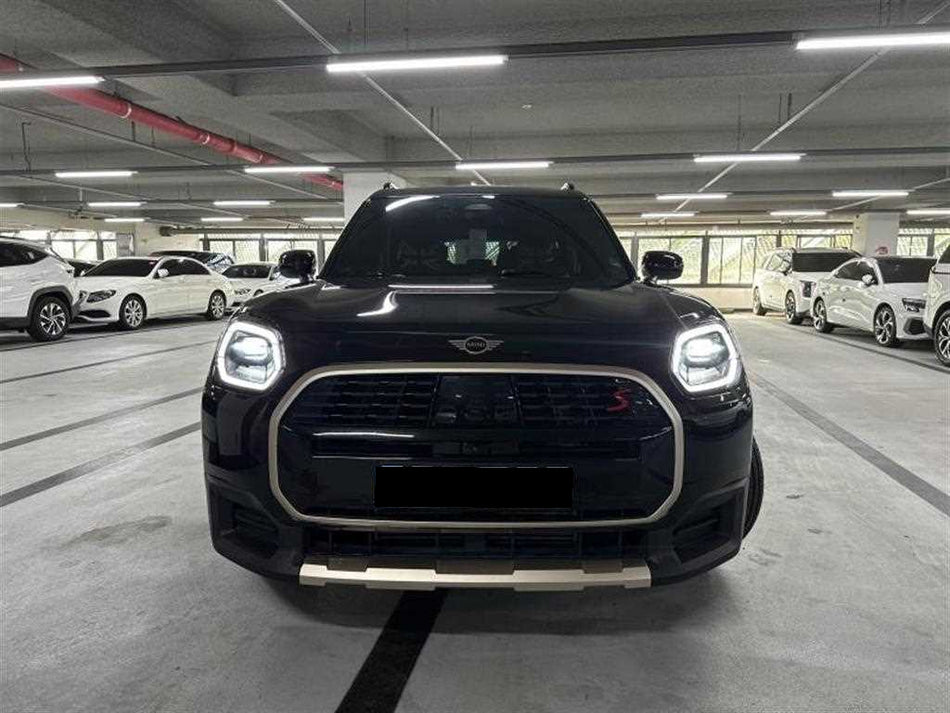 Mini Countryman — photo 02