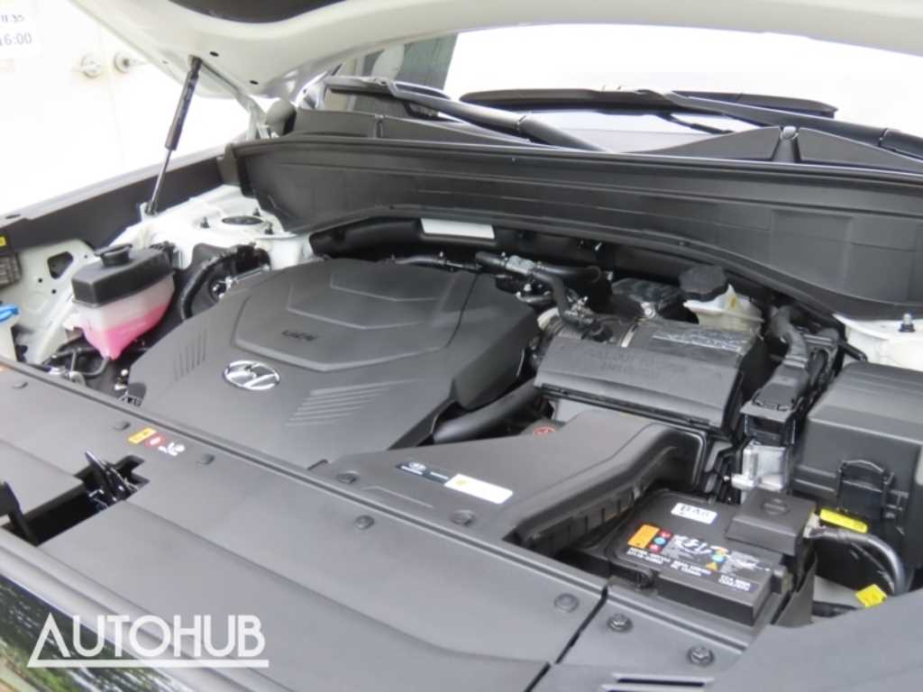 Hyundai Palisade — photo 19