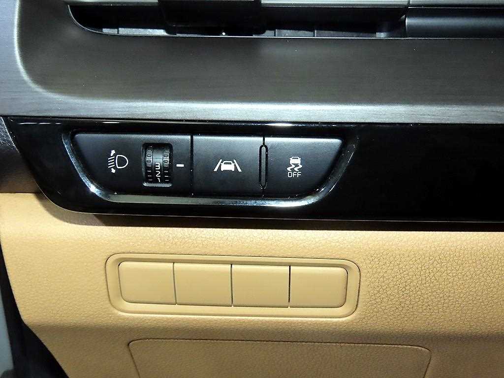 Kia Carnival — photo 14
