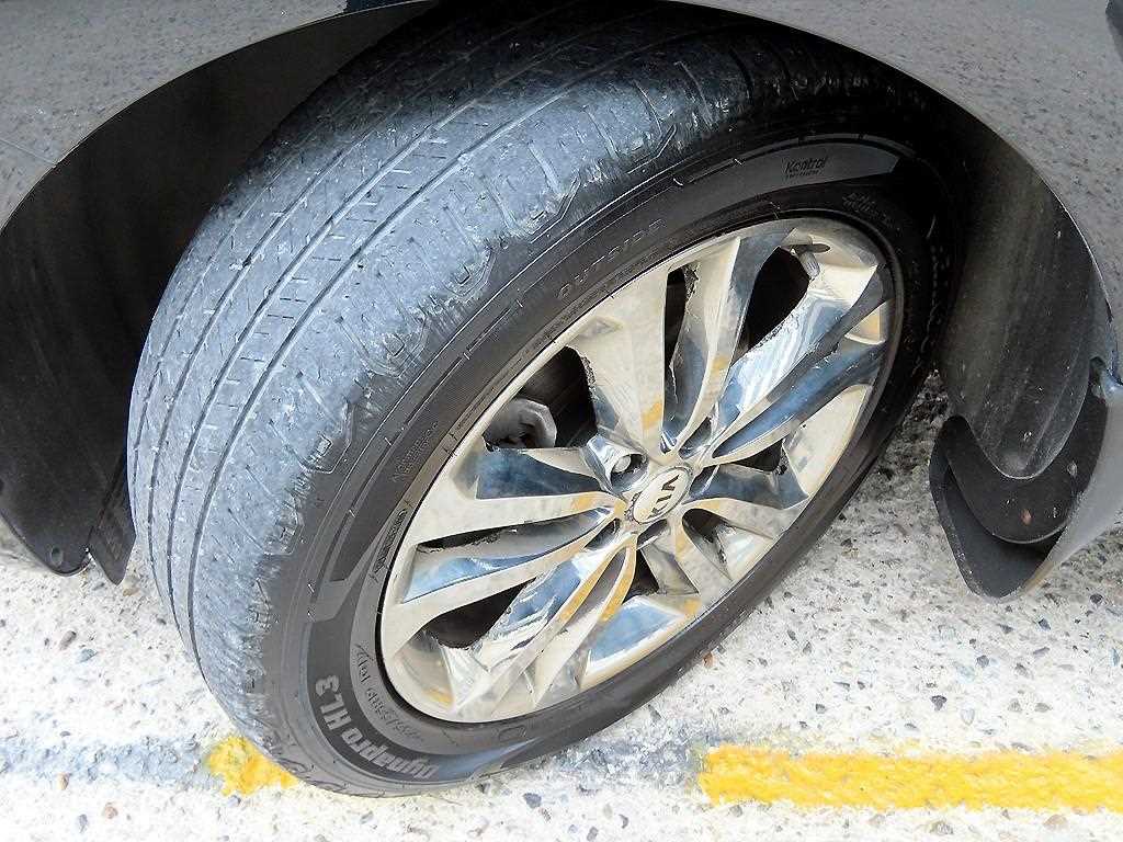 Kia Carnival — photo 20