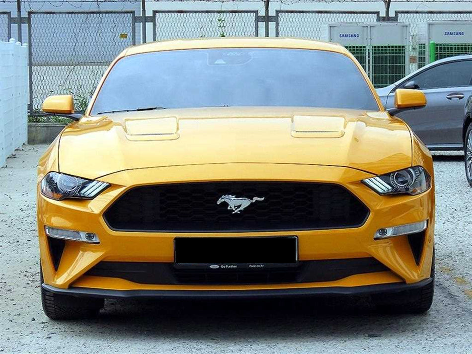 Ford Mustang — photo 01