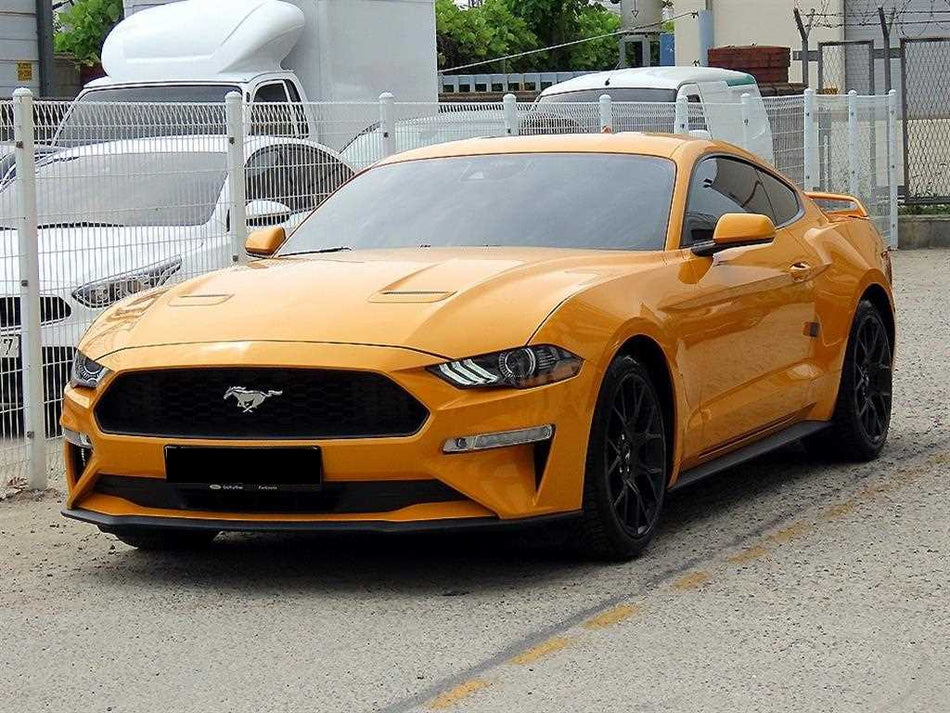 Ford Mustang — photo 02