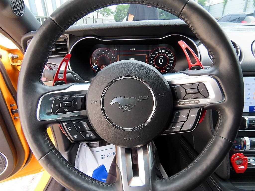 Ford Mustang — photo 08