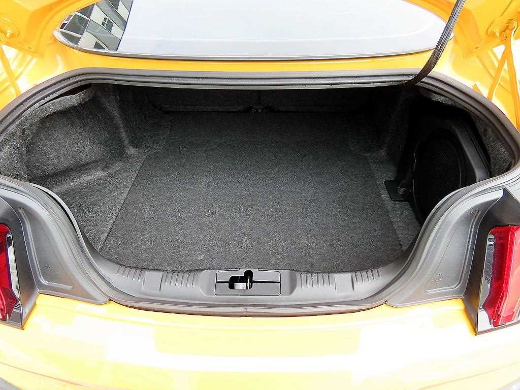 Ford Mustang — photo 18