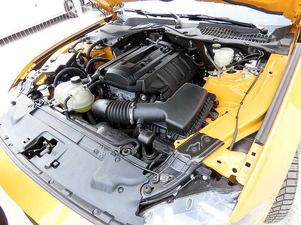 Ford Mustang — photo 19