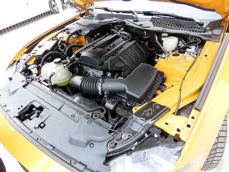Ford Mustang — photo 19