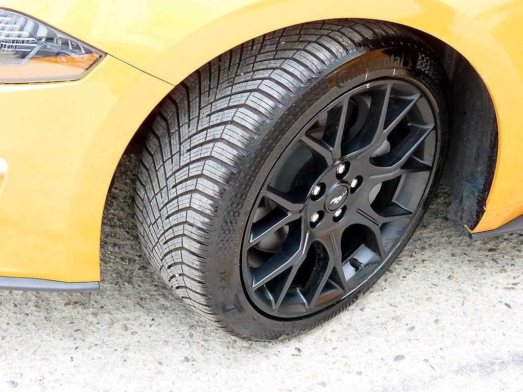 Ford Mustang — photo 20