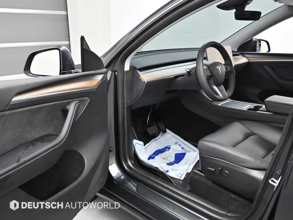 Tesla Model Y — photo 11