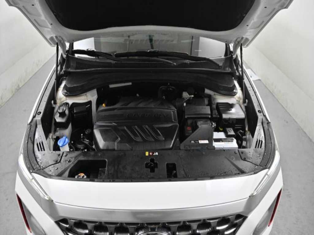 Hyundai Santafe — photo 06