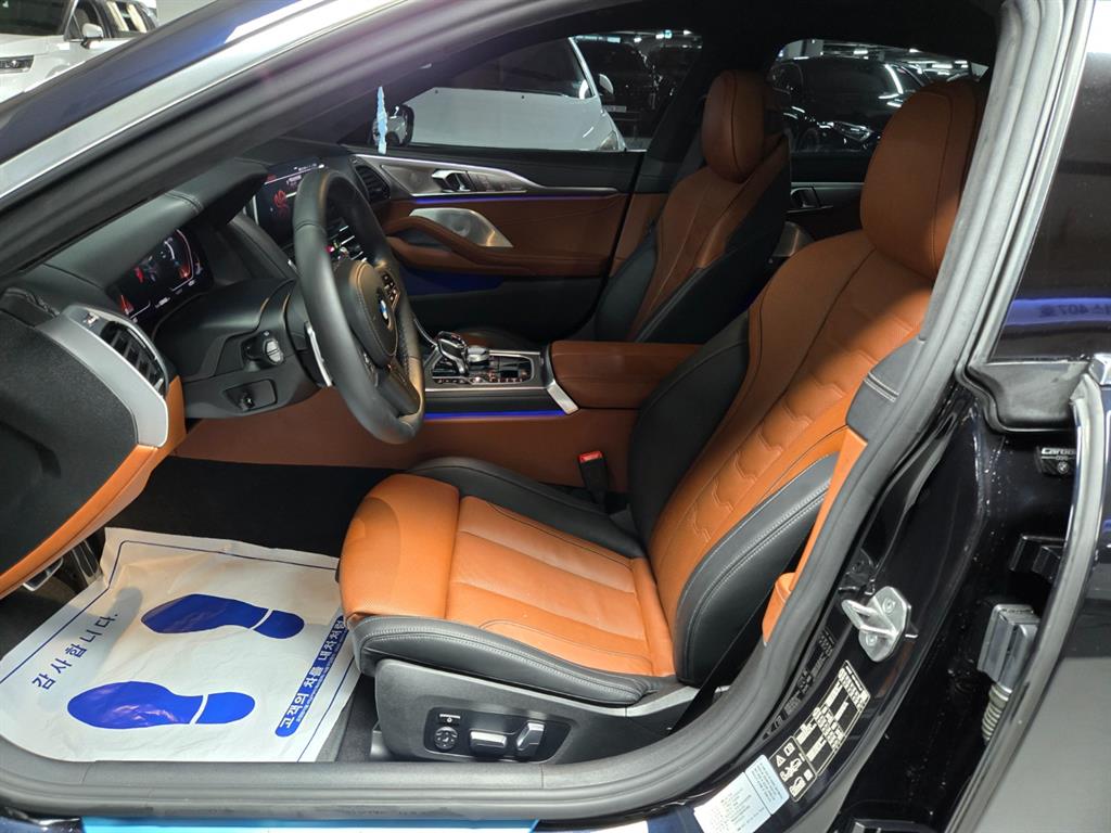 BMW 8-Series — photo 07