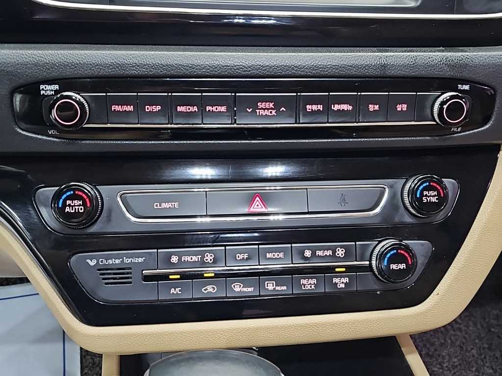 Kia Carnival — photo 10