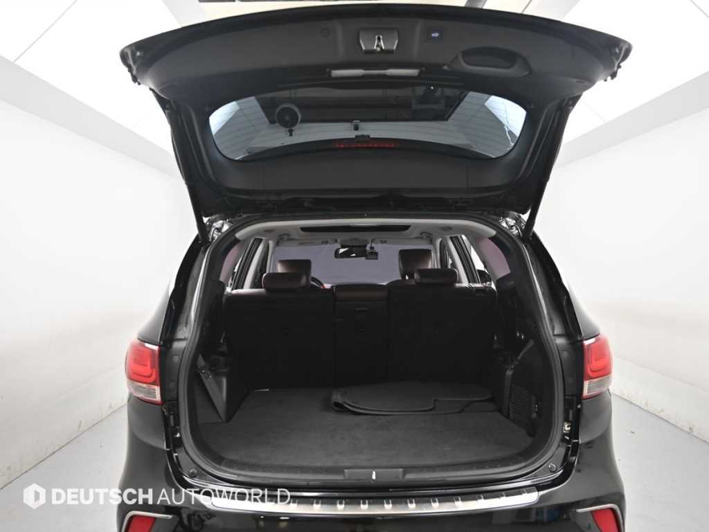 Hyundai Maxcruz — photo 05