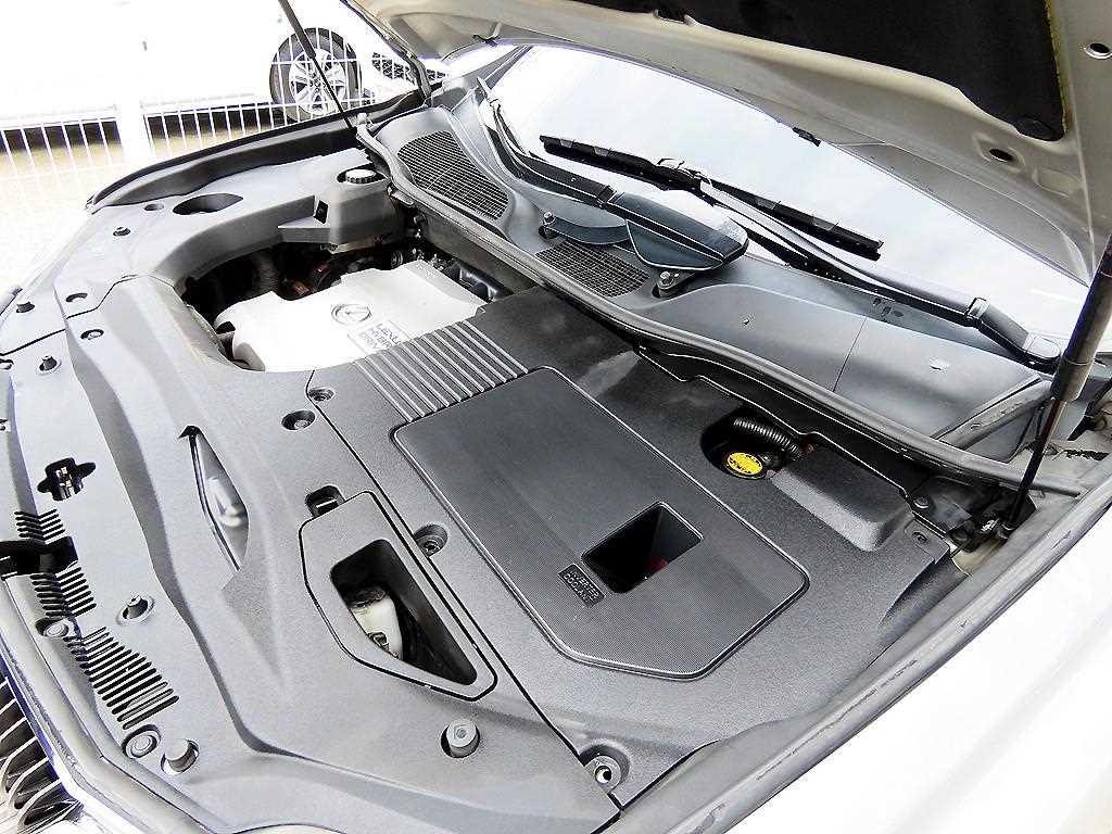 Lexus RX — photo 19