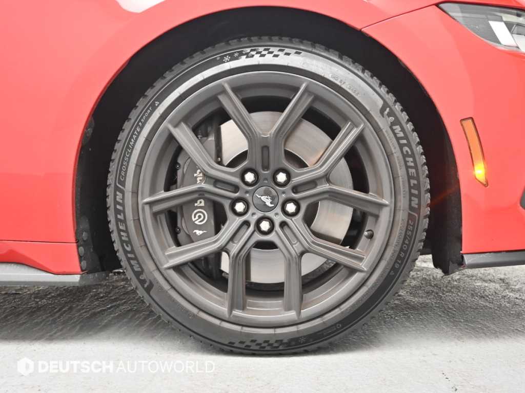 Ford Mustang — photo 05