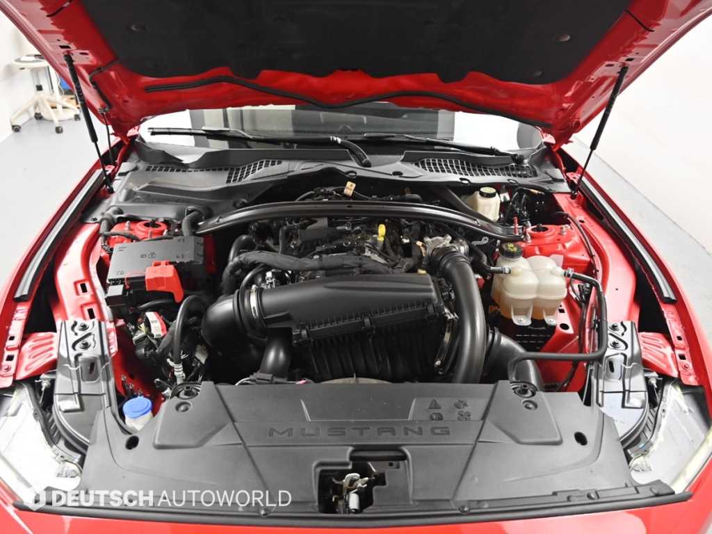 Ford Mustang — photo 06