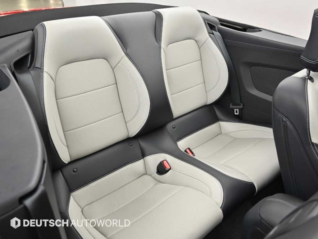 Ford Mustang — photo 12
