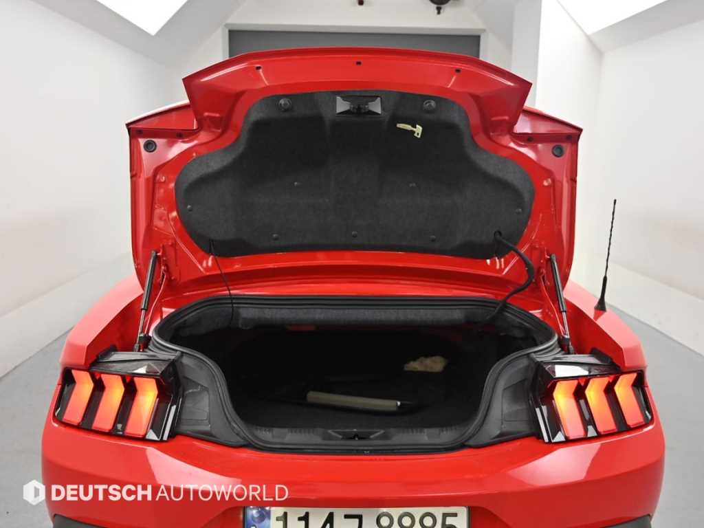 Ford Mustang — photo 19