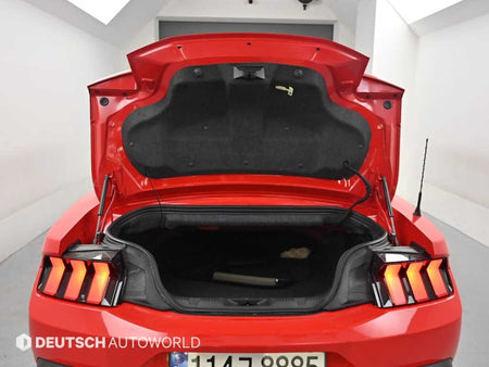 Ford Mustang — photo 19