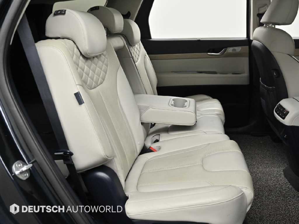 Hyundai Palisade — photo 12