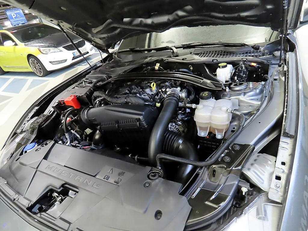 Ford Mustang — photo 17