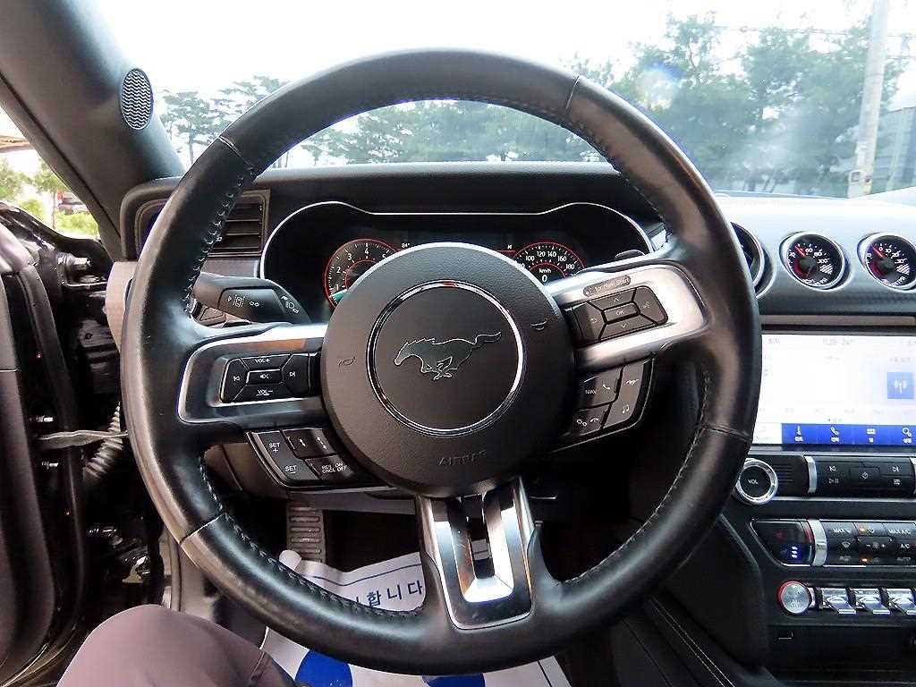 Ford Mustang — photo 08