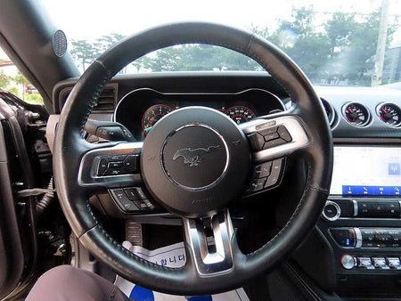 Ford Mustang — photo 08