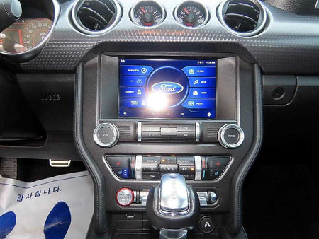 Ford Mustang — photo 12