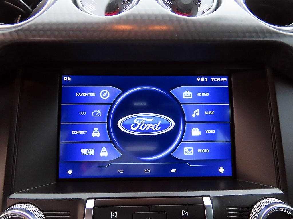Ford Mustang — photo 14
