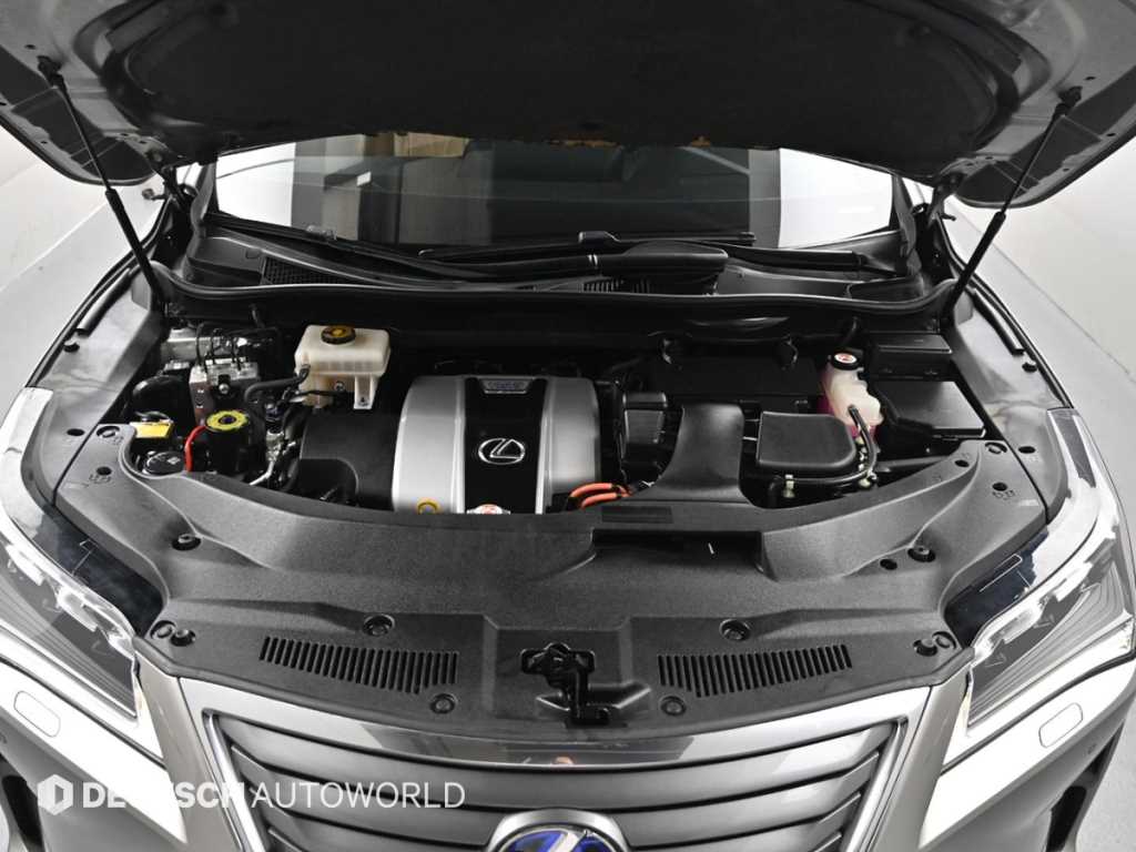 Lexus RX — photo 06