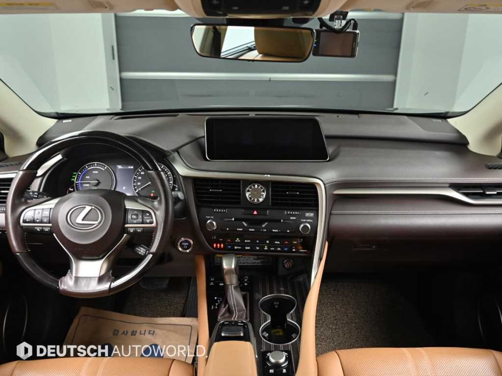 Lexus RX — photo 07