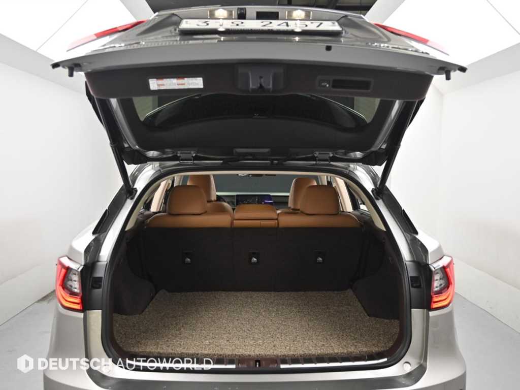 Lexus RX — photo 19