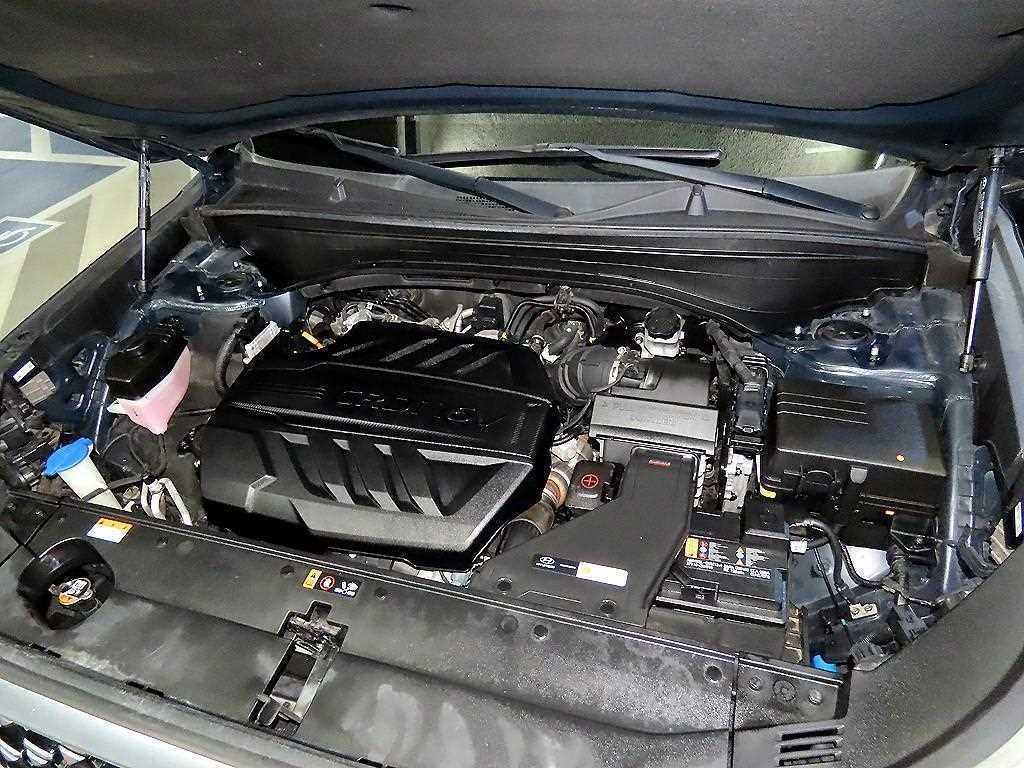 Hyundai Palisade — photo 19