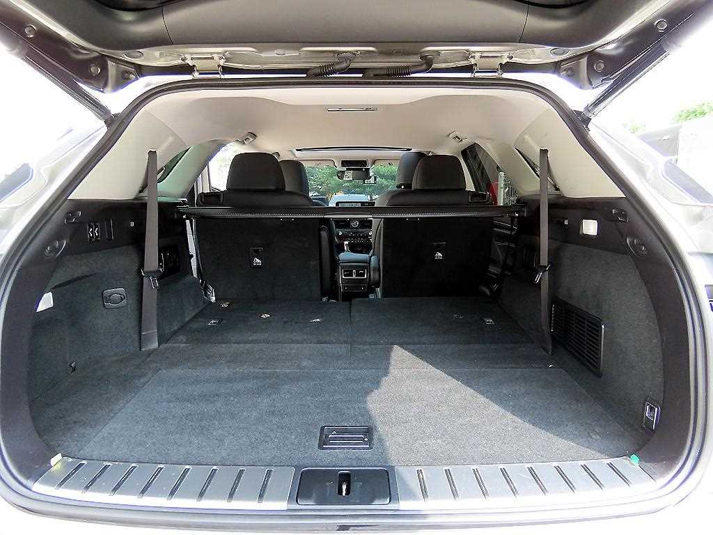 Lexus RX — photo 16