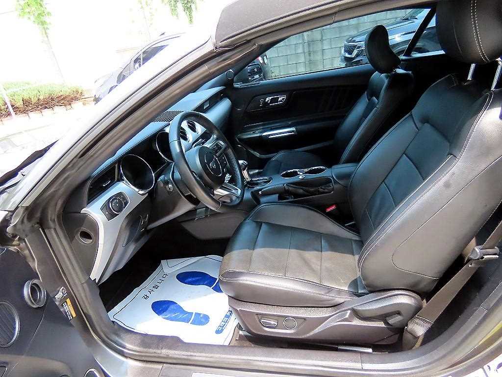 Ford Mustang — photo 10