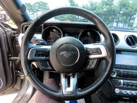 Ford Mustang — photo 12