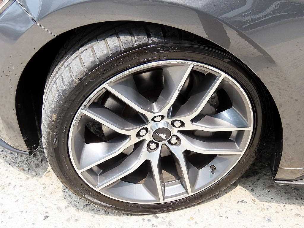 Ford Mustang — photo 20