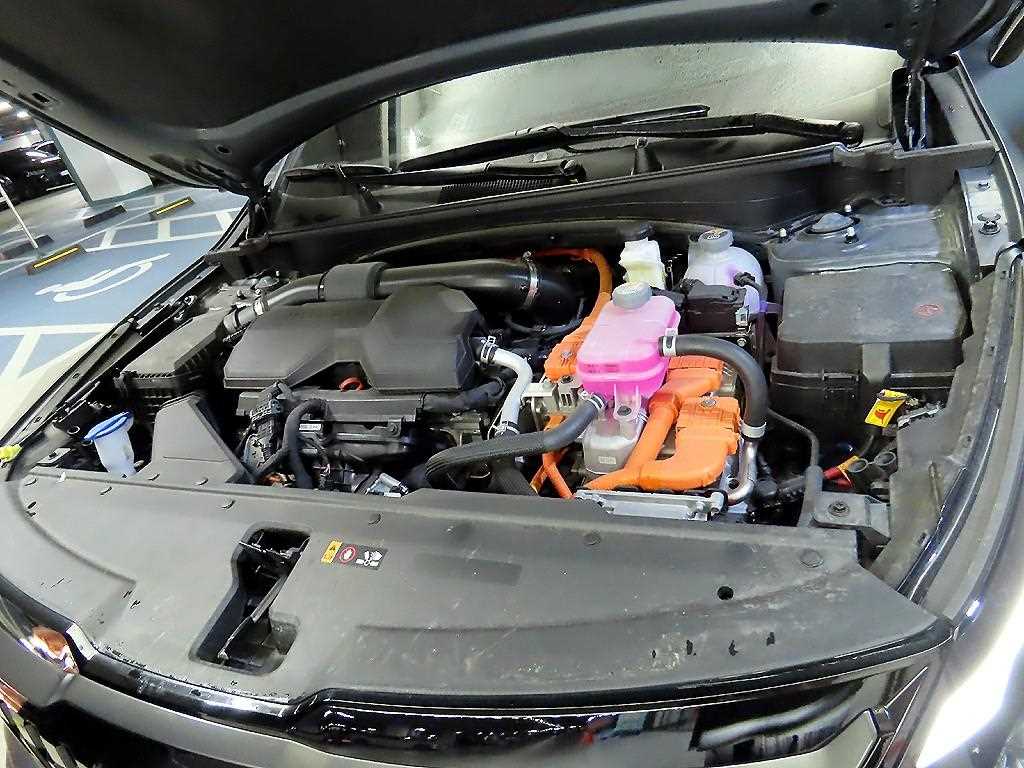 Kia Sportage — photo 19