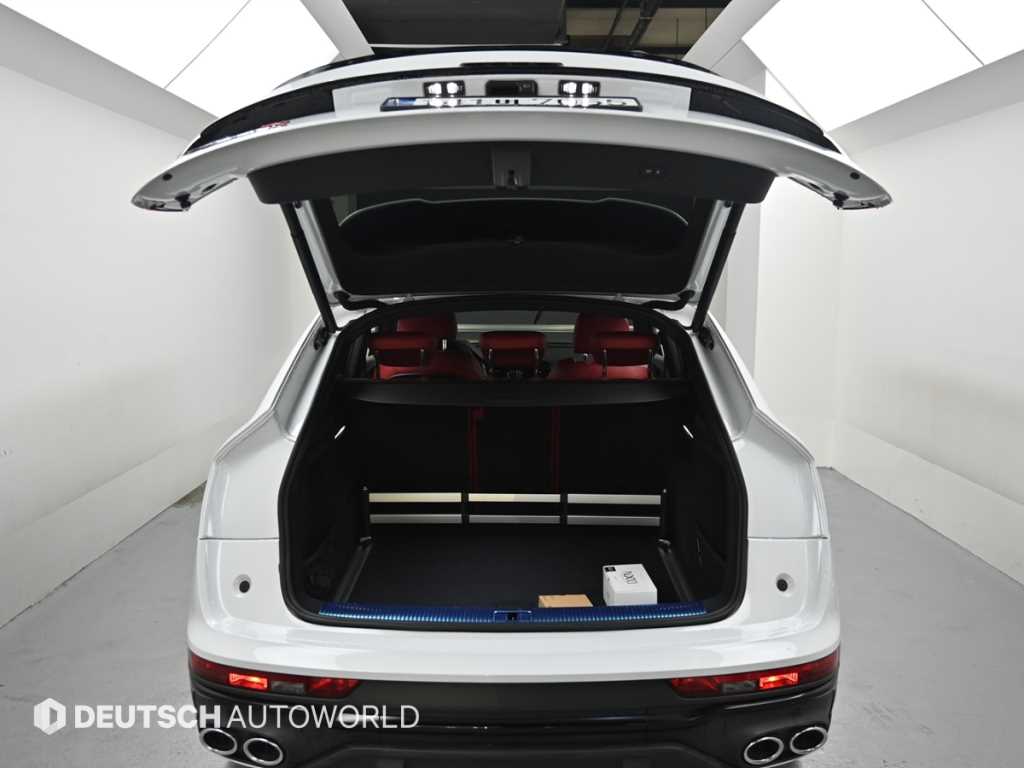 Audi SQ5 — photo 19